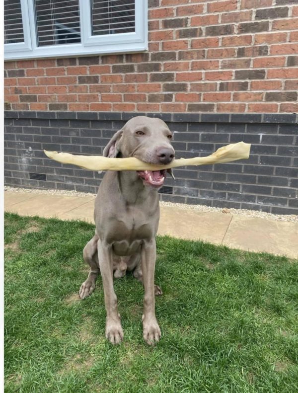 Giant beef sticks