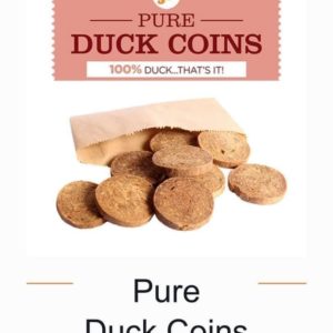 Duck coins ( single)