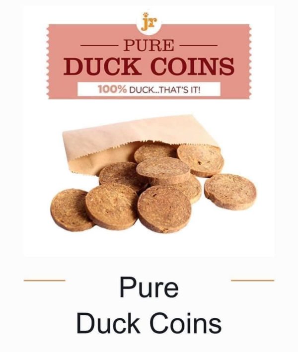 Duck coins ( single)