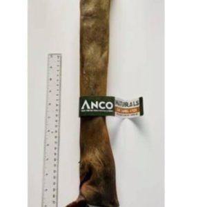 Giant Camel sticks