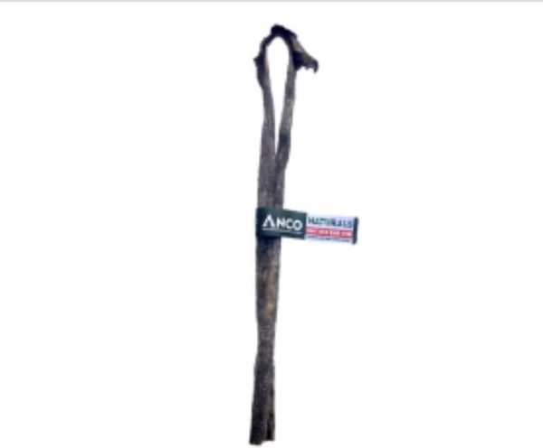 Giant wild boar sticks