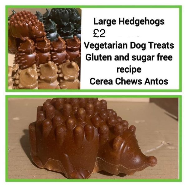 Large hedgehogs