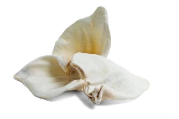 puffed pig ear