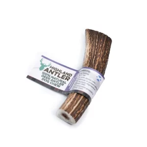 Antos medium antler
