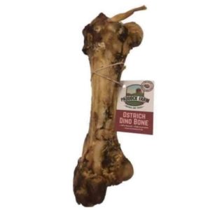 Ostrich Dino bone ( currently JR ostrich Dino Bones)