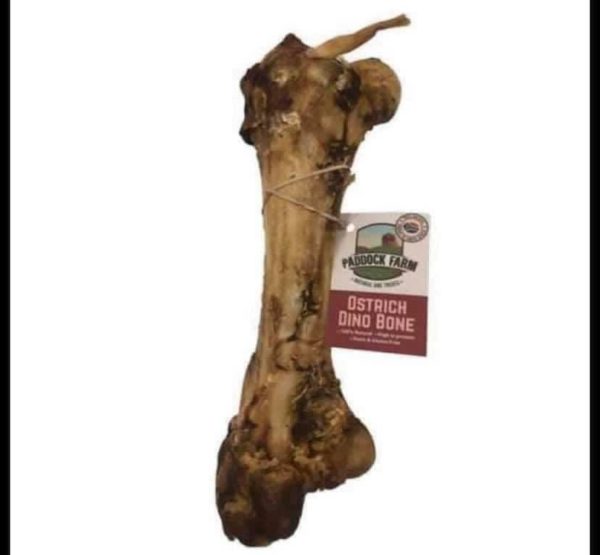 Ostrich Dino bone ( currently JR ostrich Dino Bones)