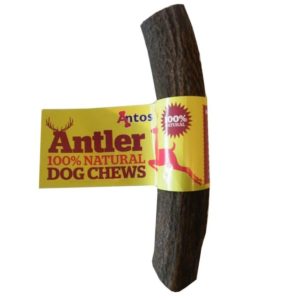 Antos large antler