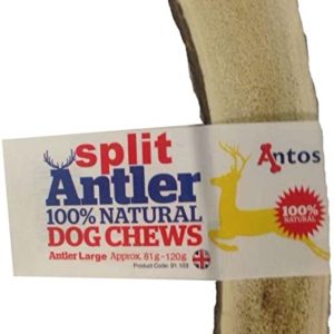 Antos large split antler