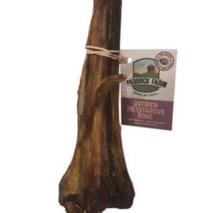 Ostrich metatarsus bone