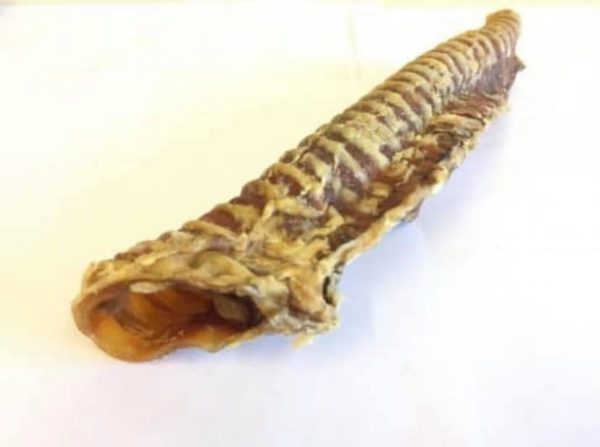 Beef trachea 30+ cm pieces