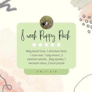 8 week puppy pack