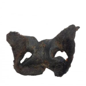 Bully snouts