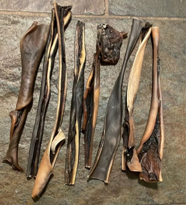 Camel skin stick - Image 2