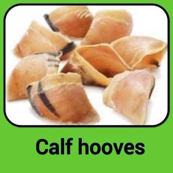 Cow hooves