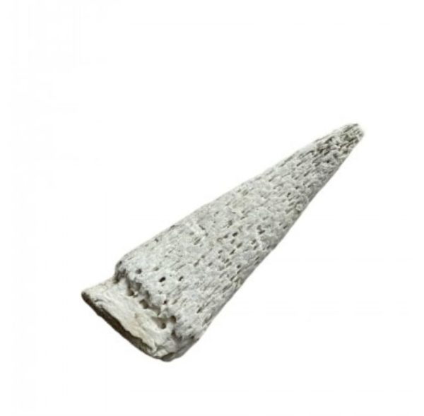 Cow horn marrow ( per 100g )