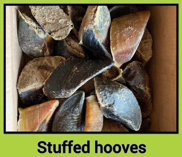 Hollings Filled hooves