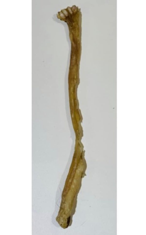 Anco lamb tendons