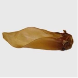 large buffalo ears