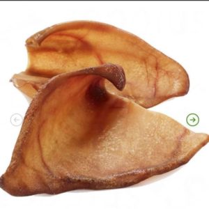 Large pig ears (JR and Nova)