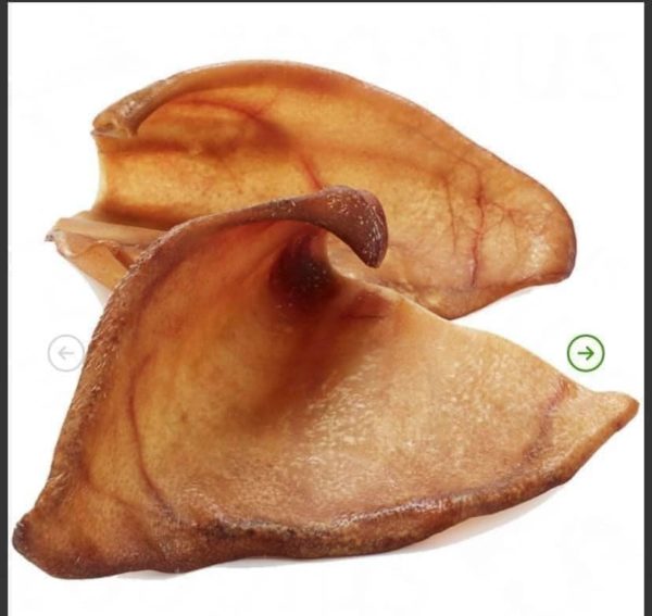 Large pig ears (JR and Nova)
