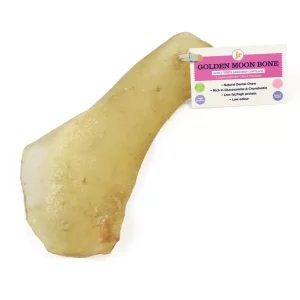 JR Golden moon bone