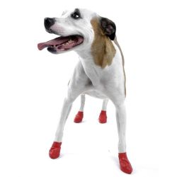 Pawz small red dog boot