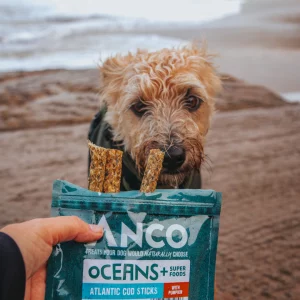 Anco oceans+ Atlantic cod stick with pumpkin 70g bag