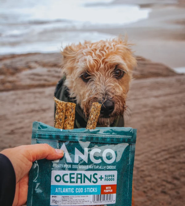 Anco oceans+ Atlantic cod stick with pumpkin 70g bag