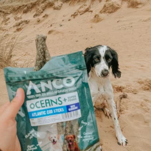 Anco oceans+ antlantic cod stick with blueberry 70g bag
