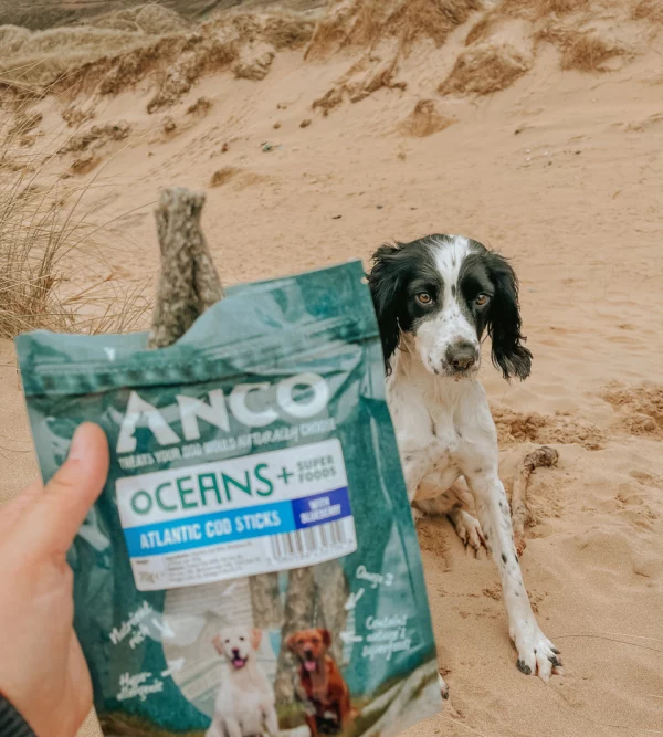 Anco oceans+ antlantic cod stick with blueberry 70g bag