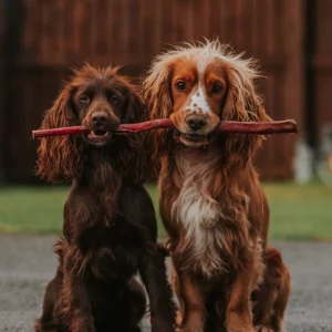 Anco naturals giant pizzle stick
