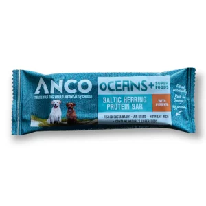 Anco oceans protein bar with pumpkin