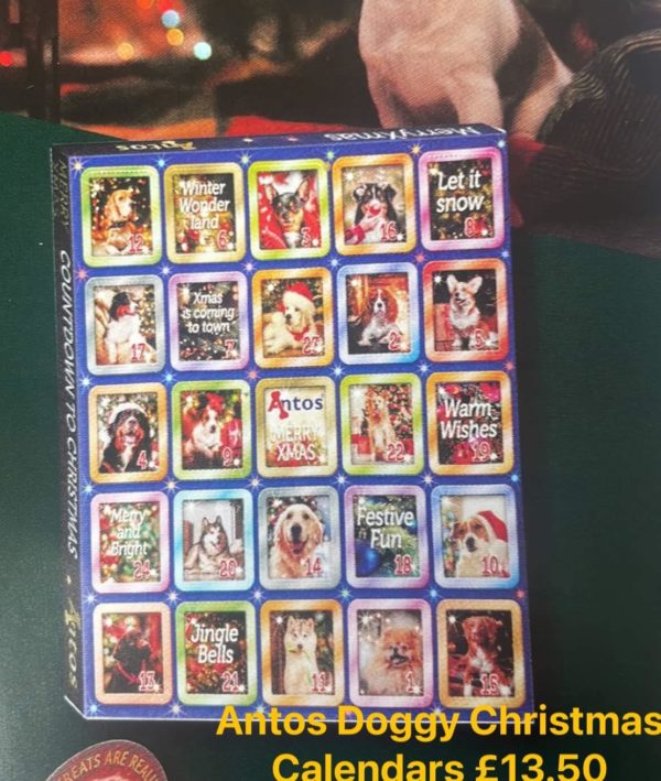Antos doggy Christmas advent calendars