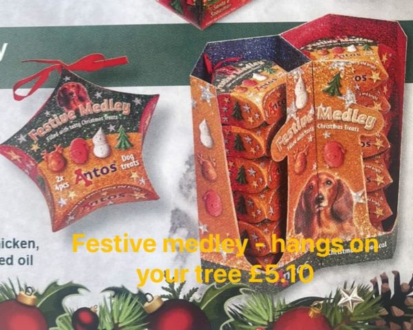 Festive Medley
