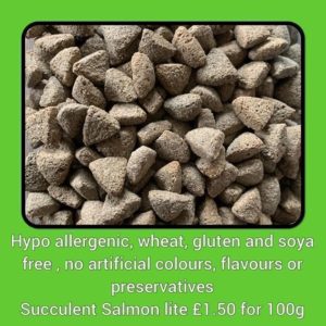 Salmon lite  kibble training treats per 100g
