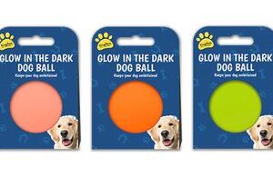 Glow in the dark dog balls