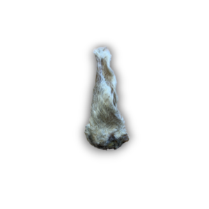 Anco / Nova hairy lamb ears
