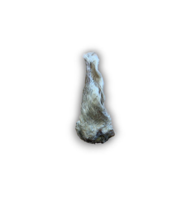Anco / Nova hairy lamb ears