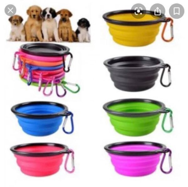 Travel water bowl