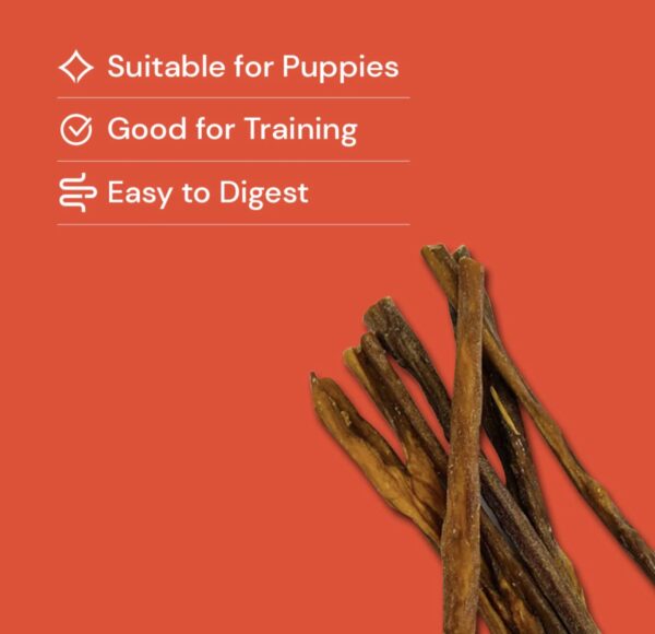 50g bully spaghetti ( pet treats wholesale)