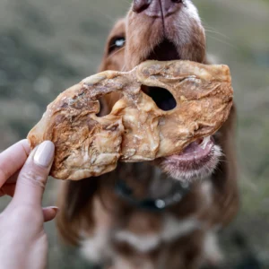 Anco / Nova lamb snouts ( larger sized ones)