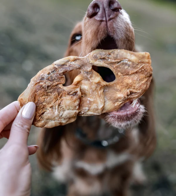 Anco / Nova lamb snouts ( larger sized ones)