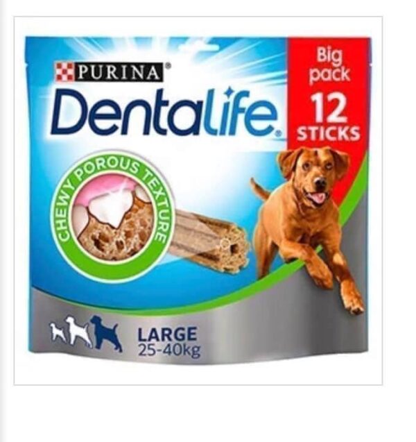 Large dentalife