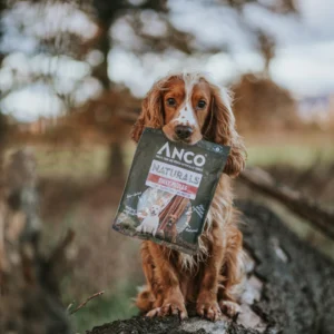 Anco bully pizzle 100g packs