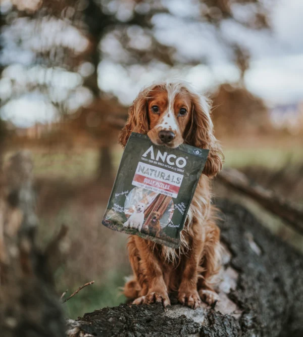 Anco bully pizzle 100g packs