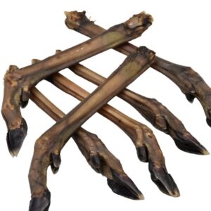 Nova naturals hair free Roe deer leg