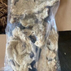 JR lamb bark