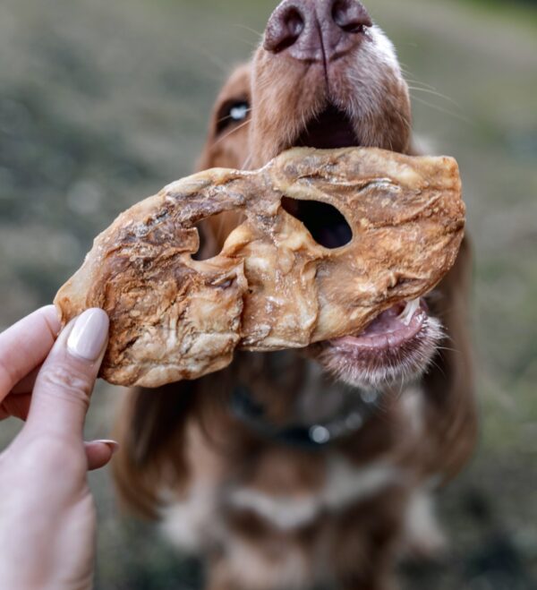 Individual Small sized range lamb snouts
