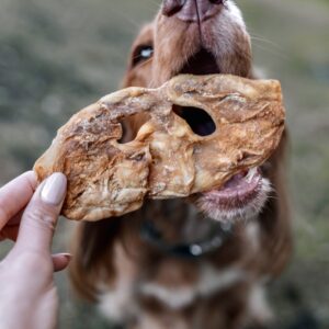 100g lamb snouts ( mixed sized group)