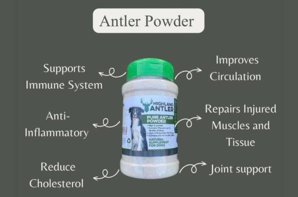 Nova pure antler powder